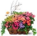 Garden Basket FP04