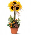  Sunflower Topiary